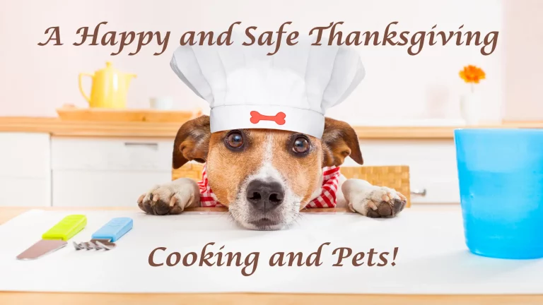 A_Happy_and_Safe_Thanksgiving_Blog